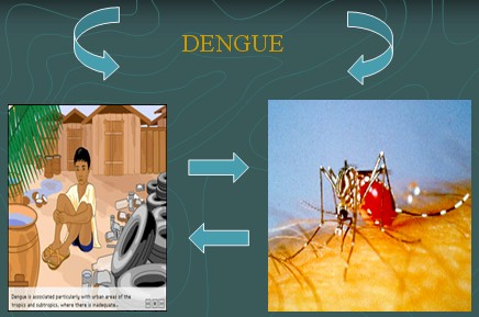 dengue_prevencion3