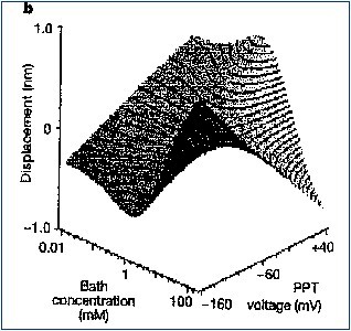 electroosmosis