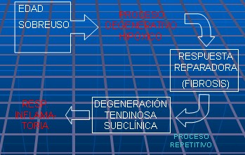 epicondilitis_fisiopatologia