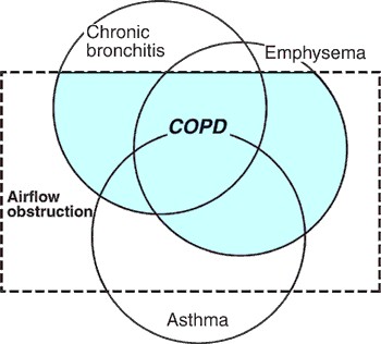 epoc2 epoc2