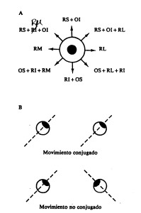 estrabismo