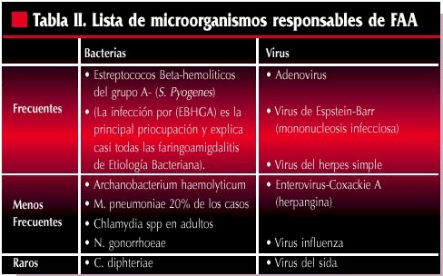 faringoamigdalitis_microorganismos