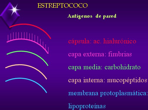 file:///C:/Documents and Settings/Usuario/Mis documentos/My Web Sites/images/publicaciones/fiebre_reumatica2