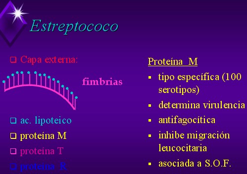 fiebre_reumatica2