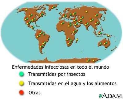 fiebre_tifoidea_enfermedades_infecciosas fiebre_tifoidea_enfermedades_infecciosas