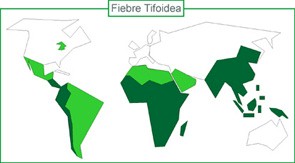 fiebre_tifoidea_mapa fiebre_tifoidea_mapa