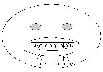 formula_dentaria