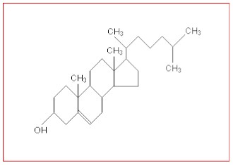 iam_composicion_quimica_colesterol iam_composicion_quimica_colesterol