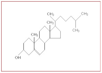 iam_composicion_quimica_colesterol