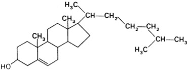 iam_composicion_quimica_colesterol2 iam_composicion_quimica_colesterol2