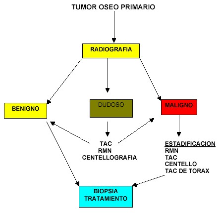 algoritmo