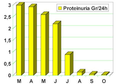 nefritis_lupica1.jpg nefritis_lupica1.jpg