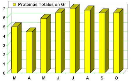 nefritis_lupica2.jpg nefritis_lupica2.jpg