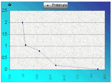 nefritis_lupica7.jpg