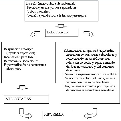 operacion_torax_grafico1