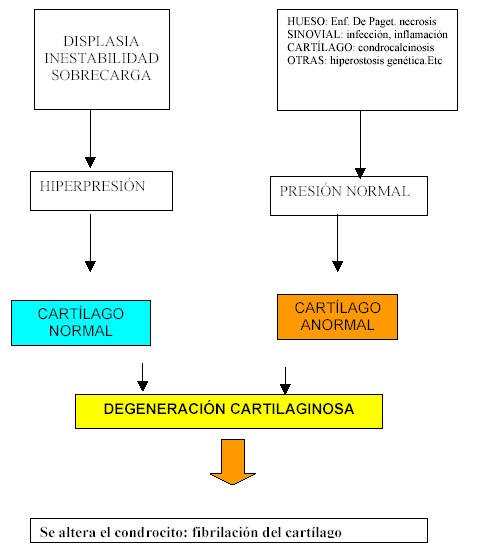 osteoartrosis_esquema