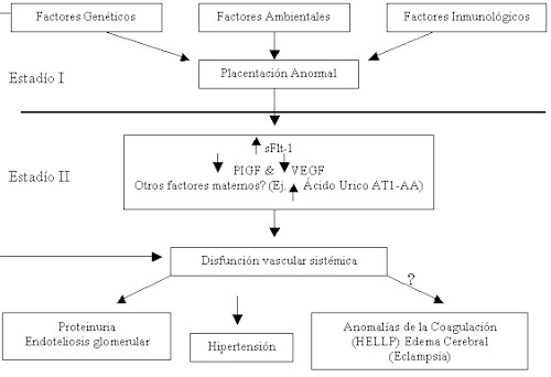 preeclampsia