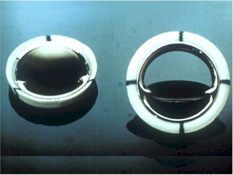 protesis_valvulares_valvula_monodisco2 protesis_valvulares_valvula_monodisco2
