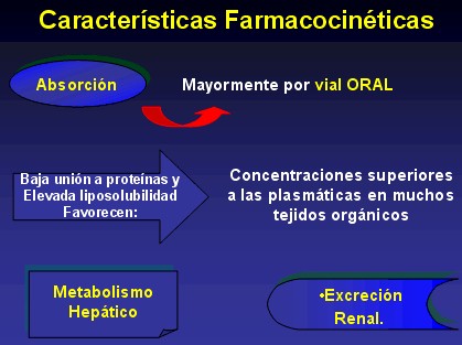 quilononas7