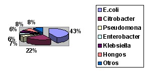 sepsis_urinaria_grafico1