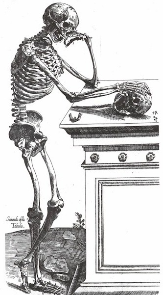 vesalio2