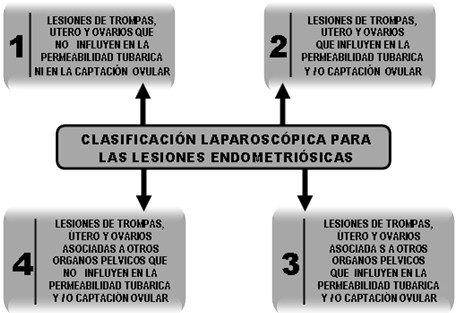 diagnostico_tratamiento_endometriosis/clasificacion_laparoscopica_lesiones